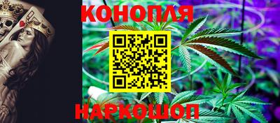 крисы Кунгур