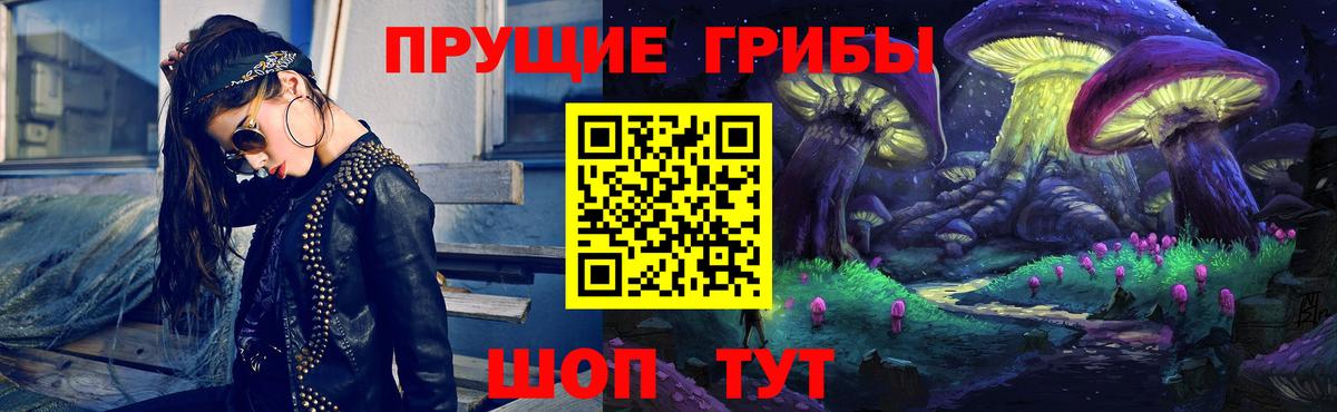 Элиста  Псилоцибиновые грибы GOLDEN TEACHER  Вход с VPN  Галлюциногенные грибы Psilocybine cubensis 